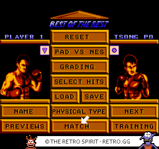 Game screenshot of Best of the Best: Championship Karate