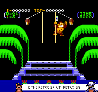 Game screenshot of Donkey Kong 3