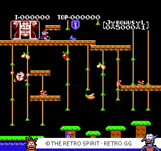 Game screenshot of Donkey Kong Jr.