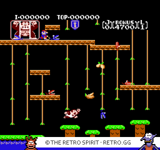 Game screenshot of Donkey Kong Jr.