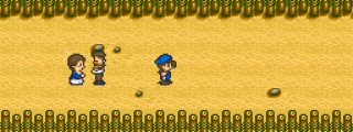 Game focus image (small)